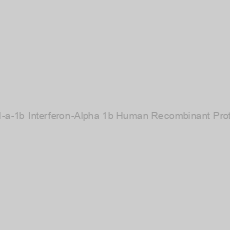 Image of IFN-a-1b Interferon-Alpha 1b Human Recombinant Protein